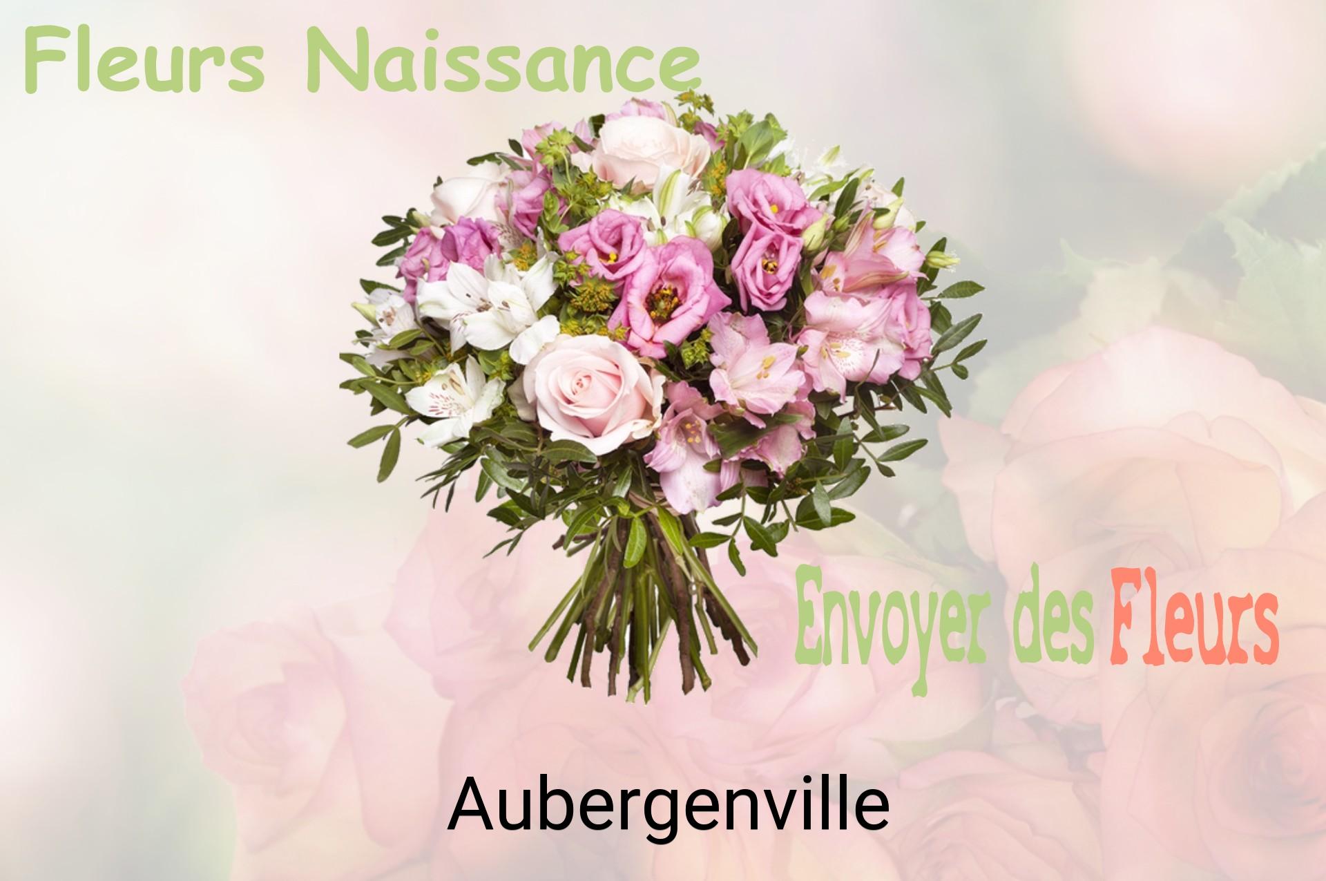 Bouquet de fleurs de naissance livré à Aubergenville